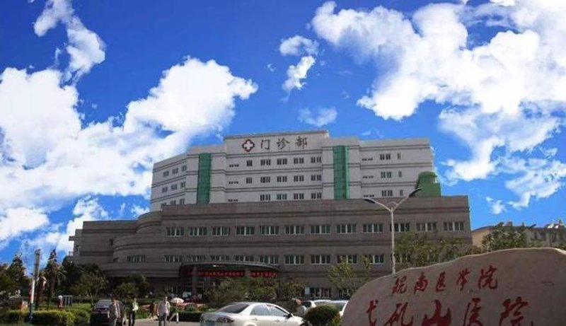 网上预约挂号,轻松便捷!在安徽省内各大医院中,如何有效利用网络资源进行挂号?今天就带您深入了解。